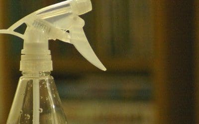 5 Best Window Cleaning Products in Cleveland, OH