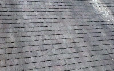 Top 4 Reasons To Clean Your Roof