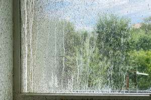 Close-up of dirty window.