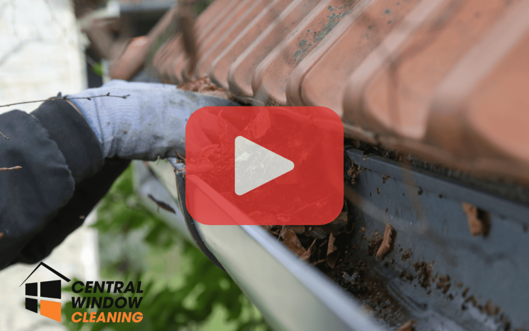 How Gutter Cleaning Saves You Money in the Long Run