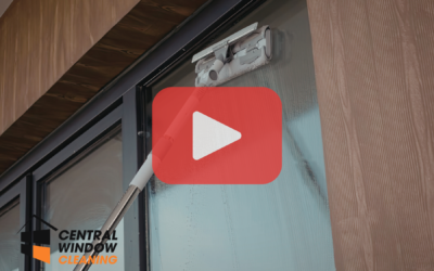 What to Expect From Professional Residential Window Cleaning