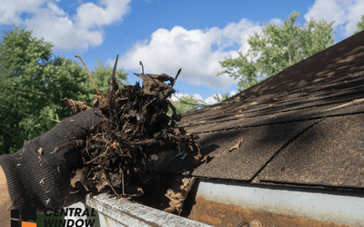 Why Gutter Cleaning Matters Before Fall Rain