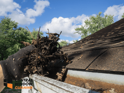 Why Gutter Cleaning Matters Before Fall Rain
