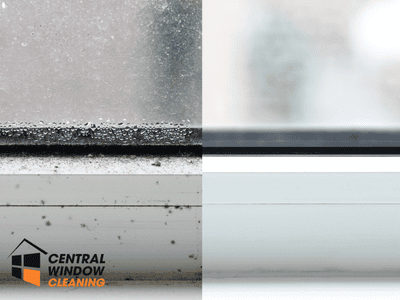 Why Late Summer Windows Look Cloudy