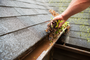 Person picking leaves out of gutters.