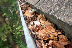 Clsoe up of gutters full of dry leaves.