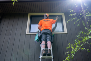 Professional window cleaner  standing on latter. 